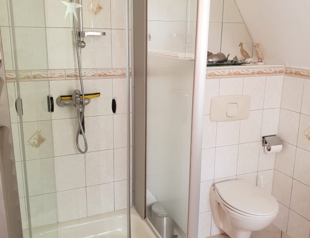 Bad Blick auf Dusche und WC